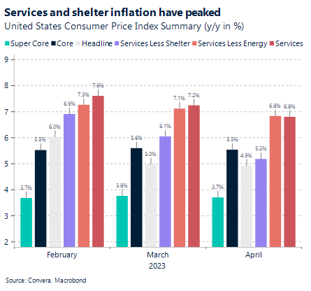 Graph: Services and shelter inflation have peaked. United states Consumer Price Index Summary (y/y in%)