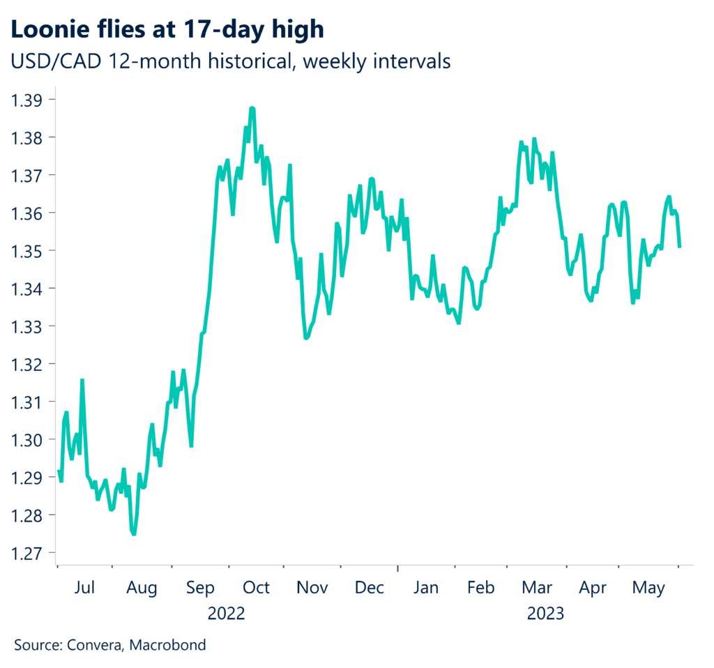 Chart: Loonie flies at 17-day high. USD/CAD 12-month historical, weekly intervals.