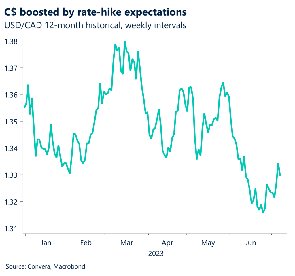 Chart: C$ boosted by rate-hike expectations. USD/CAD 12-month historical, weekly intervals. 