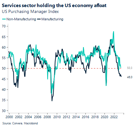 Chart: Services sector holding the US economy afloat. US purchasing Manager Index.