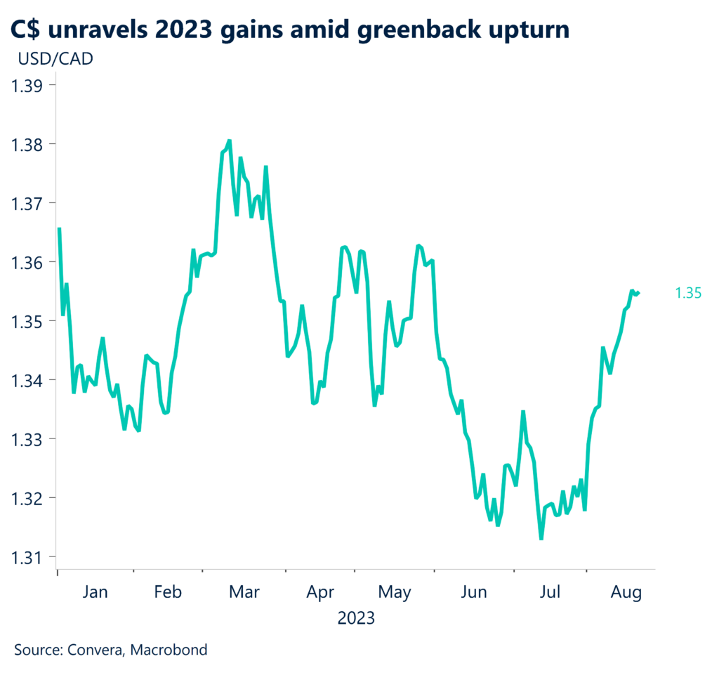 Chart: C$ unravels 2023 gains amid greenback upturn.