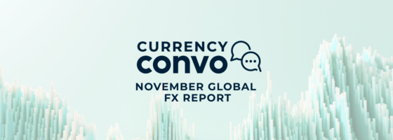 November report and webinar: Confident consumers and companies, nervous markets