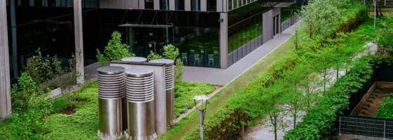 Maximizing business sustainability via currency hedging