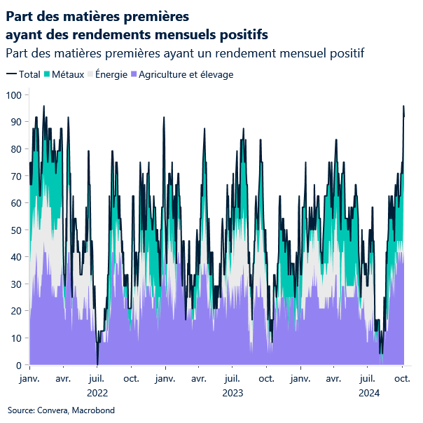 Share of commodities