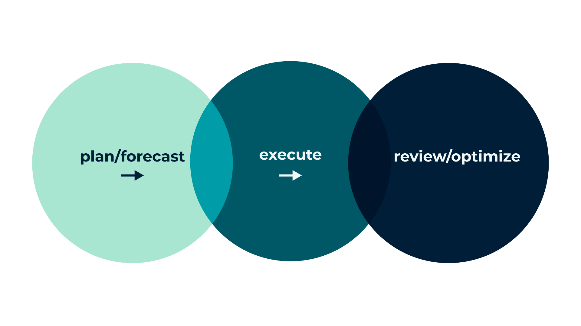 Infographic - Plan/forecast, execute and review/optimize