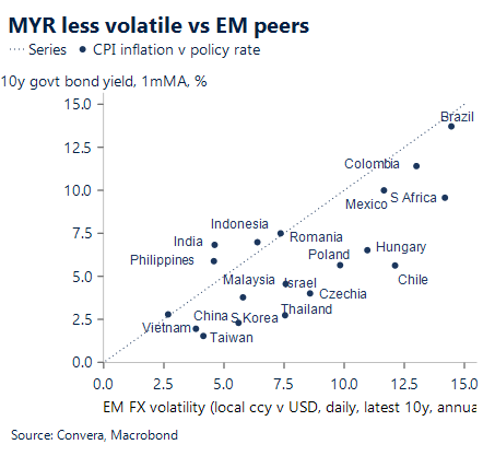 Chart showing MTYR less volatile vs EM peers