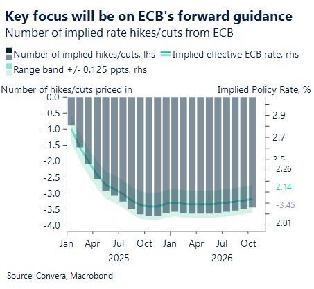 ECB forward curve 