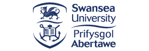 Swansea University