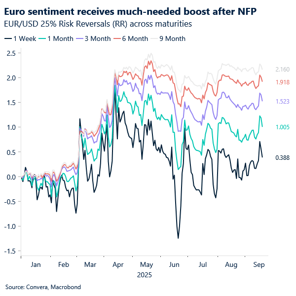 Chart of EURUSD risk reversals across maturities