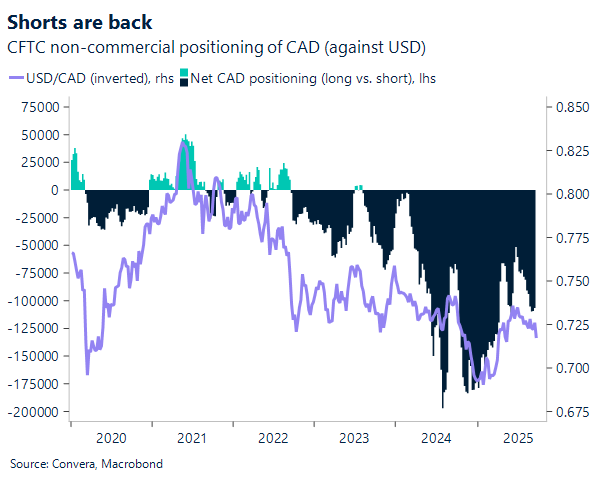 Shorts are back for the Loonie