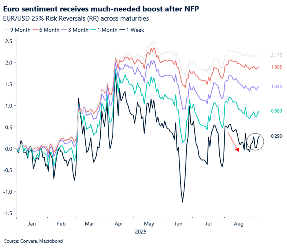 Euro sentiment receives much-needed boost after NFP