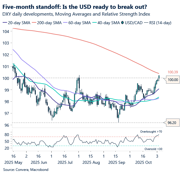 November 2025 chart showing DXY daily developments, moving averages, and relative strength index