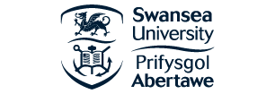 Swansea University
