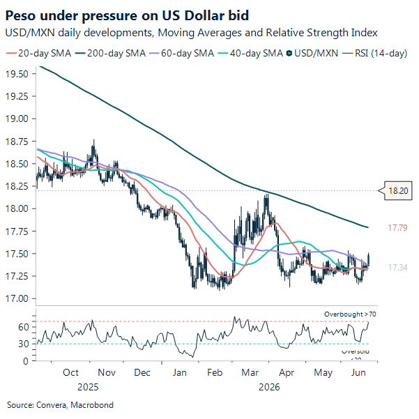 Peso under pressure on US Dollar bid