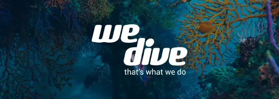 WeDive improves cash flow visibility with forward contracts and streamlines exotic currency payments