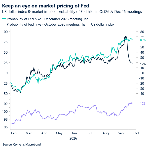 Fed pricing and USD index